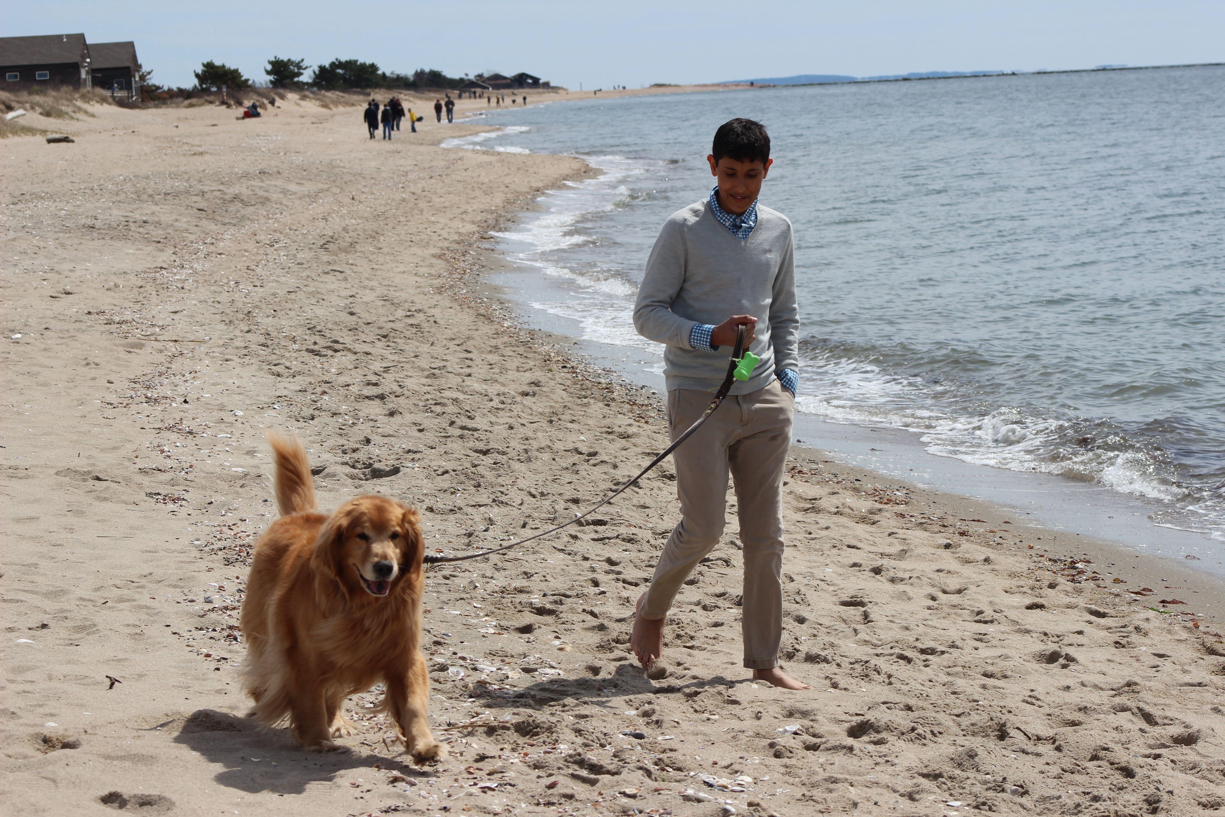 Duncan walks our dog Archy on the beach in Maine
